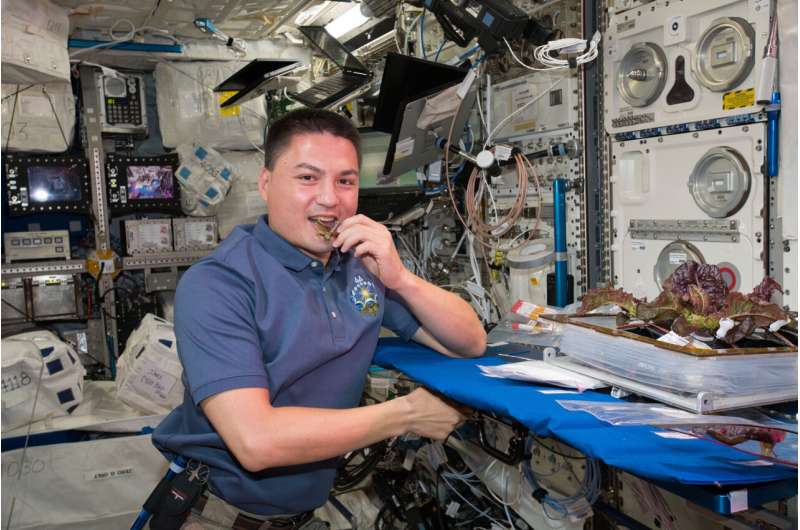 Crew-4宇宙飛行士は、未重力科学を実行するために宇宙ステーションに向かいます。