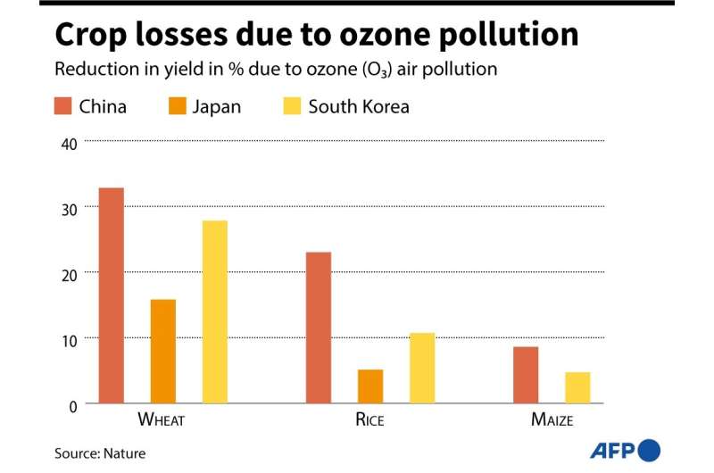Crop losses due to ozone pollution