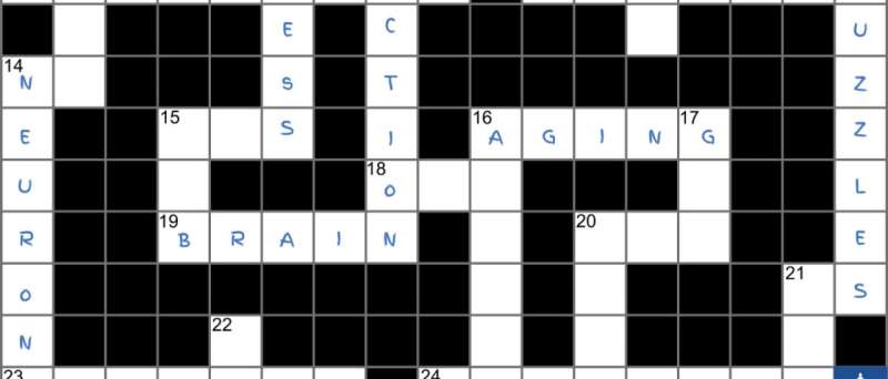 Crossword puzzles beat computer video games in slowing memory loss