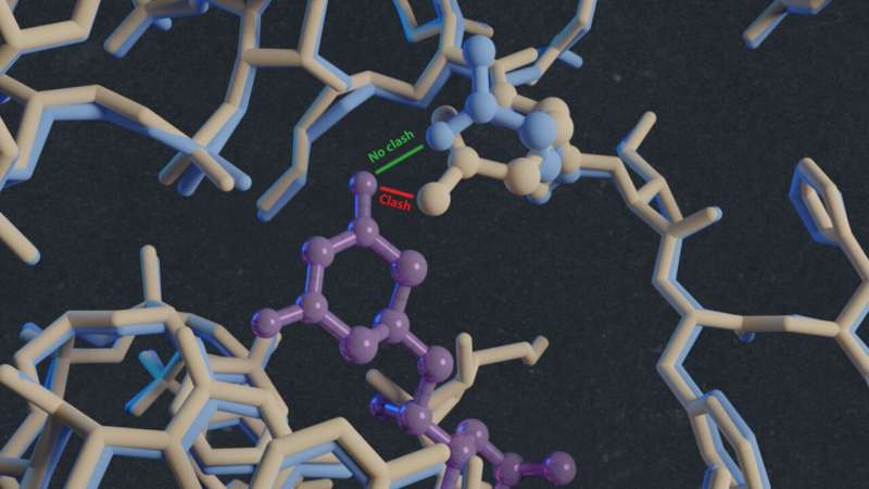Cryogenic electron microscopy reveals drug targets against common fungus