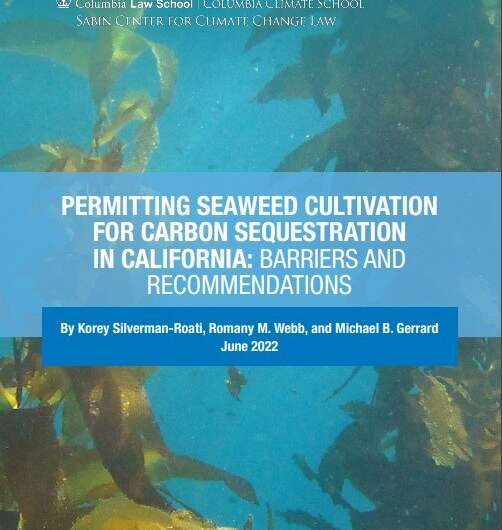 Cultivating seaweed for carbon removal in California: Barriers and recommendations