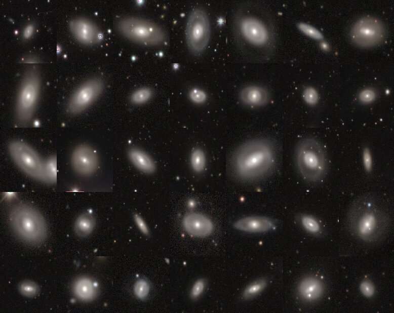 Cyborg collaboration finds 40,000 ring galaxies