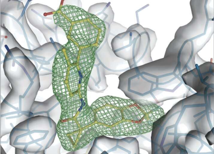 Cystic fibrosis drugs can be 'life-changing' for patients: New images reveal how the molecules work