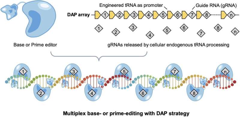 DAP array casts a wide net to fix mutations