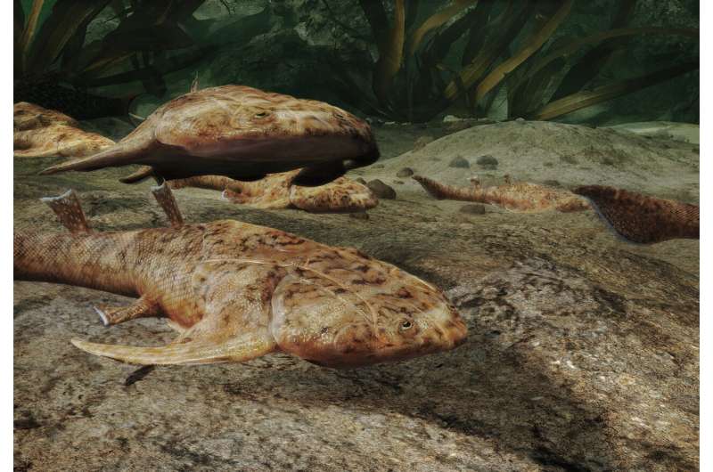 Dawn of fishes—early Silurian jawed vertebrates revealed head to tail