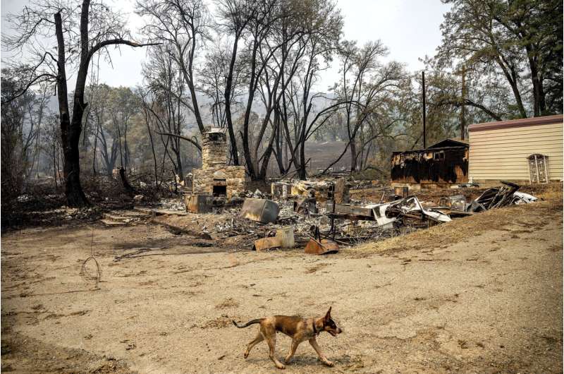 Deadly California wildfire wipes out scenic river town