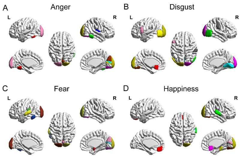 Decoding six basic emotions from brain functional connectivity patterns