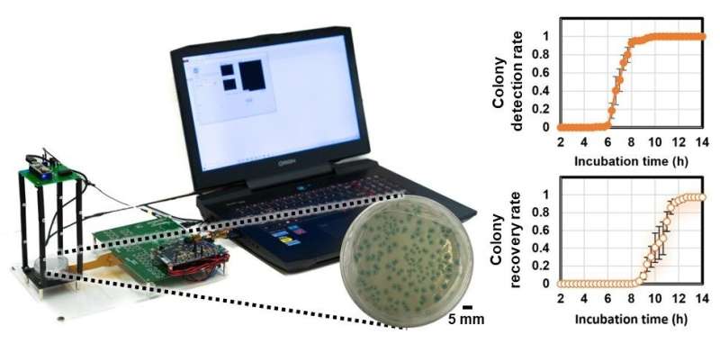L'apprentissage en profondeur accélère la détection des bactéries vivantes à l'aide de matrices de transistors à couches minces (TFT).