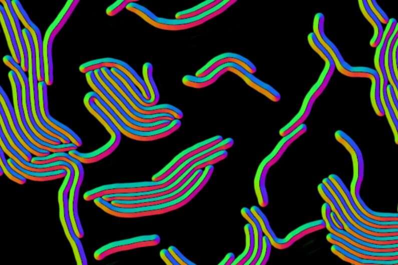 Deep learning tool identifies bacteria in micrographs