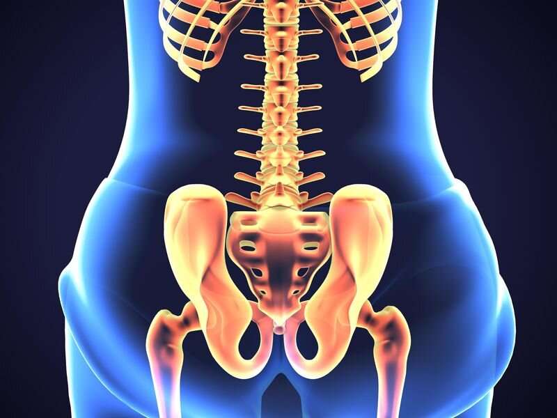 Les modèles de radiomique profonde peuvent diagnostiquer l'ostéoporose