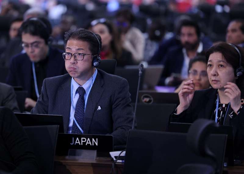 Delegados en la sesión de clausura de la conferencia climática COP27, el 20 de noviembre de 2022