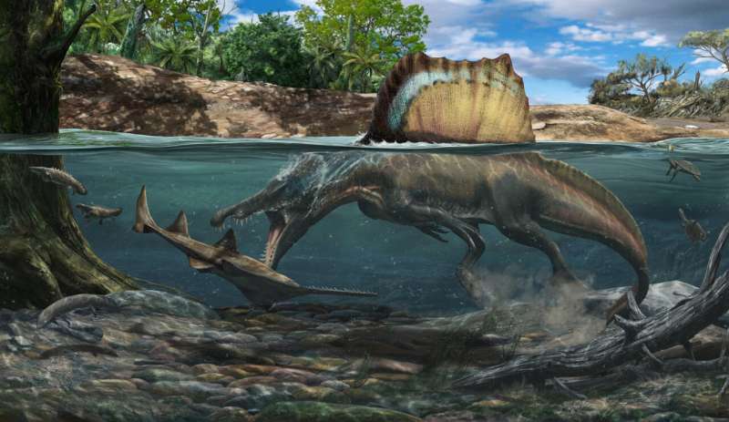 Dense bones allowed Spinosaurus to hunt underwater