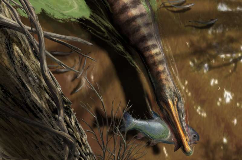 Dense bones allowed Spinosaurus to hunt underwater