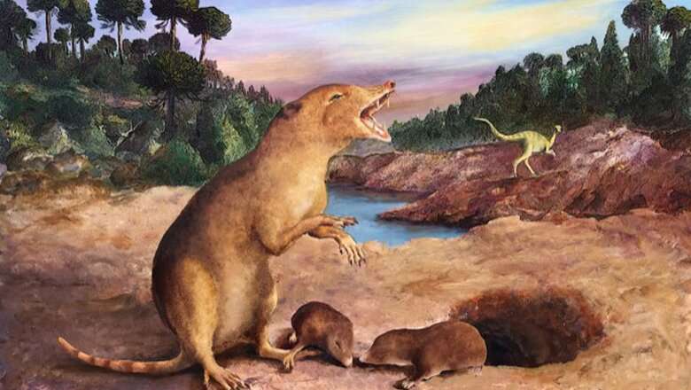 Dental evidence challenges origin time of mammals