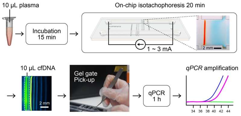 Detecting Diagnostic DNA: A Microfluidic Gated Device for Extraction of Cell-free DNA