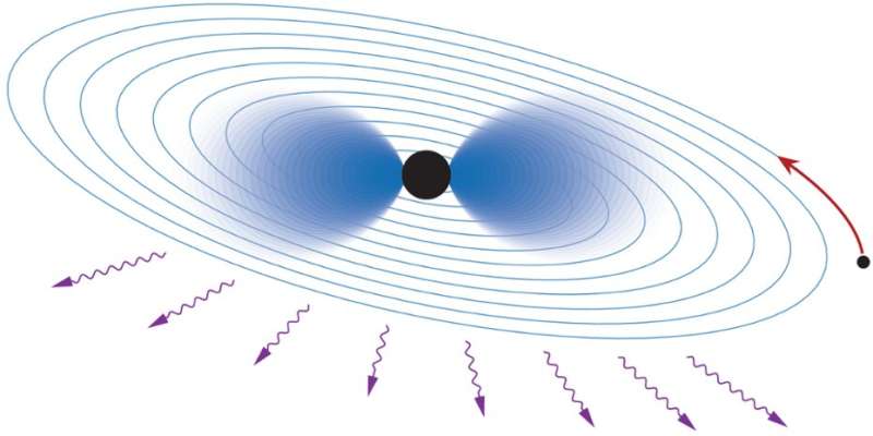 Detecting new particles around black holes with gravitational waves