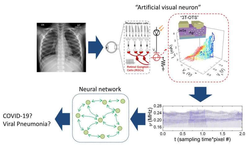 Development of low-power and high-efficiency artificial sensory neurons