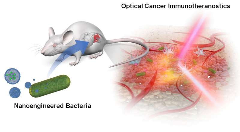 Development of nanoengineered bacteria for cancer optotheranostics
