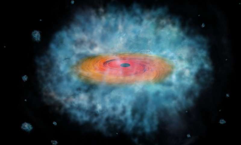 Did supermassive black holes collapse directly out of giant clouds of gas? It could depend on magnetic fields