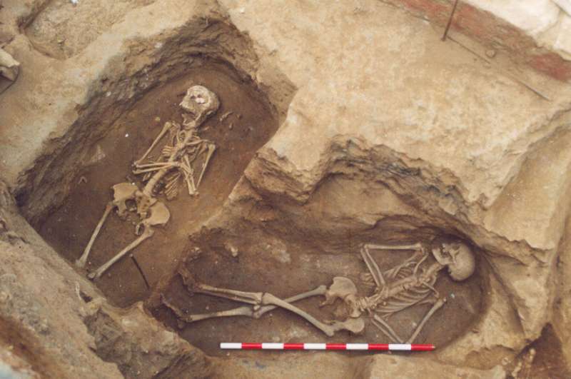 Dietary study shows funerary meals of people in Roman Empire nearly the same as everyday meals