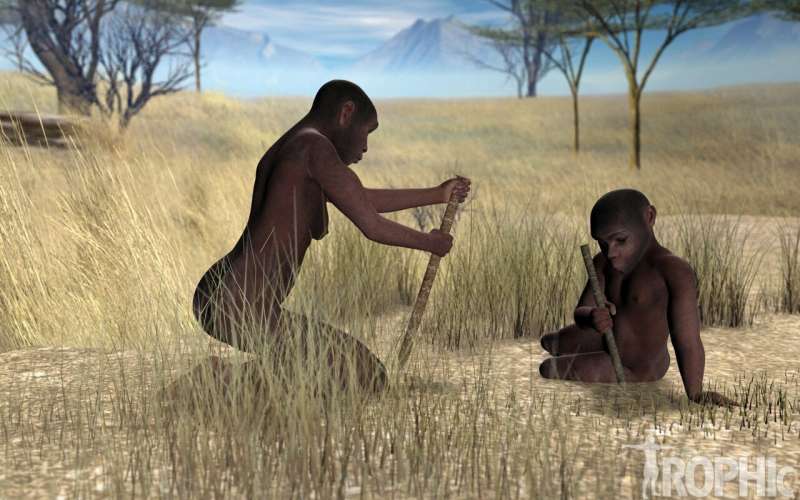 Digging is not just a game for children in hunter-gatherer groups