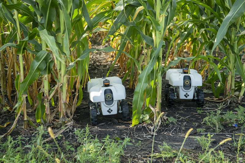 Digital tools can transform agriculture to be more environmentally sustainable