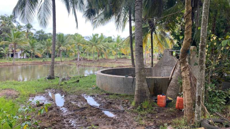 Dipping into Sri Lanka’s rural wells