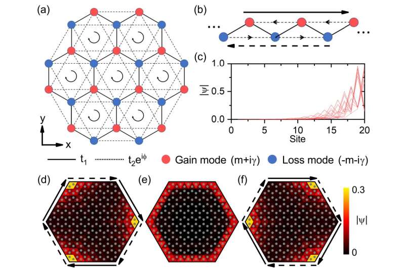 Discovering a hybrid skin-topological effect induced by gain and loss