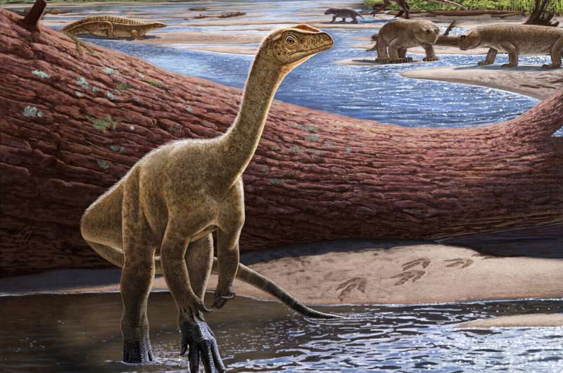 Discovery and naming of Africa's oldest known dinosaur