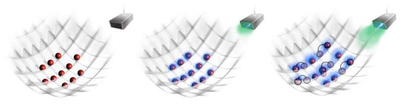 El descubrimiento de los polaritones de ondas de materia arroja luz sobre las técnicas ópticas cuánticas