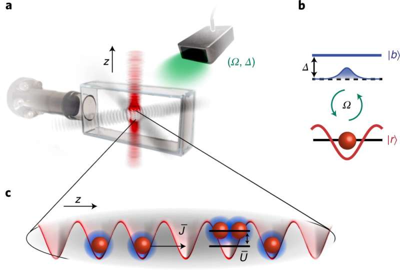 Discovery of matter-wave polaritons sheds new light on photonic quantum technologies