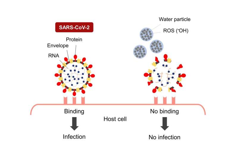 Disinfectant mechanism of nano-sized electrostatic atomized water particles on SARS-CoV-2