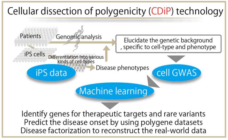 Dissection of the polygenic architecture using iPSC lines derived from Alzheimer's disease
