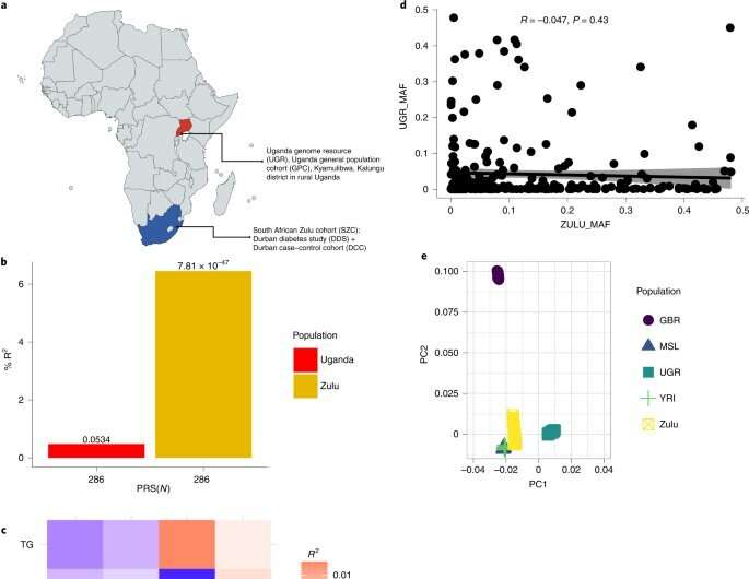 تنوع در تحقیقات ژنتیکی برای تقویت درمان بیماری های مزمن در آفریقا حیاتی است