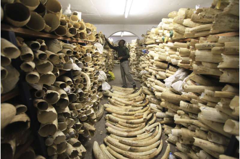 DNA analysis of elephant ivory reveals trafficking networks