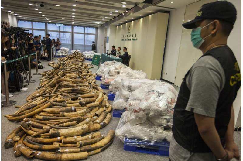 DNA testing exposes tactics of international criminal networks trafficking elephant ivory