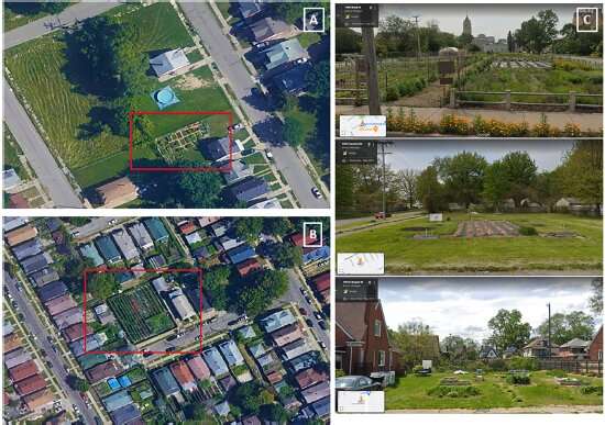 Do urban gardens lead to gentrification? Not in Detroit, study shows