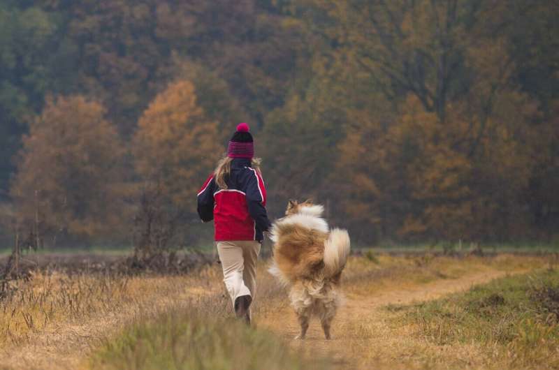 Dog-assisted interventions lead to lower stress levels in children