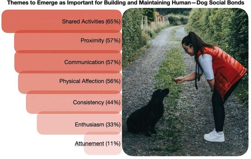 Dog—human bonds could guide development of social robots