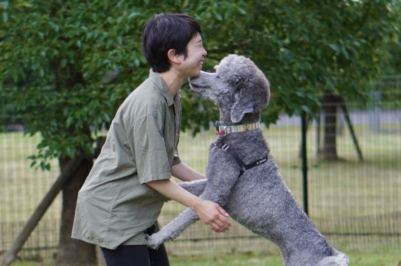 Dogs cry more when reunited with their owners