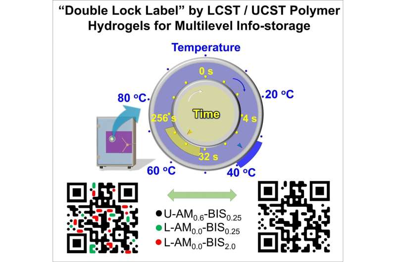 Double Locked: Polymer hydrogels secure confidential information