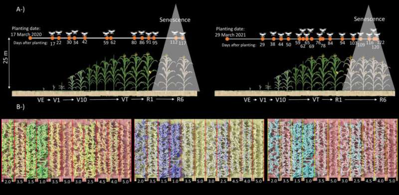 Drone data provides early identification of southern rust in corn