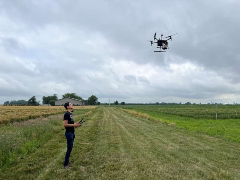 Drones working to detect crop disease early, propel ag research forward