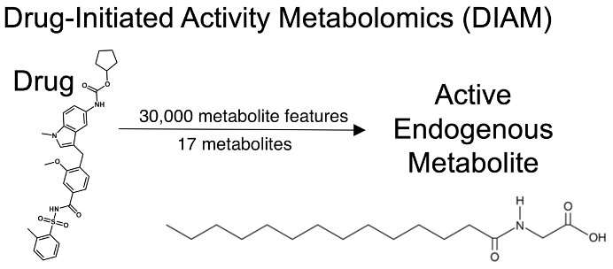 Drug discovery method identifies naturally occurring metabolite that converts 'bad' fat to 'good' fat