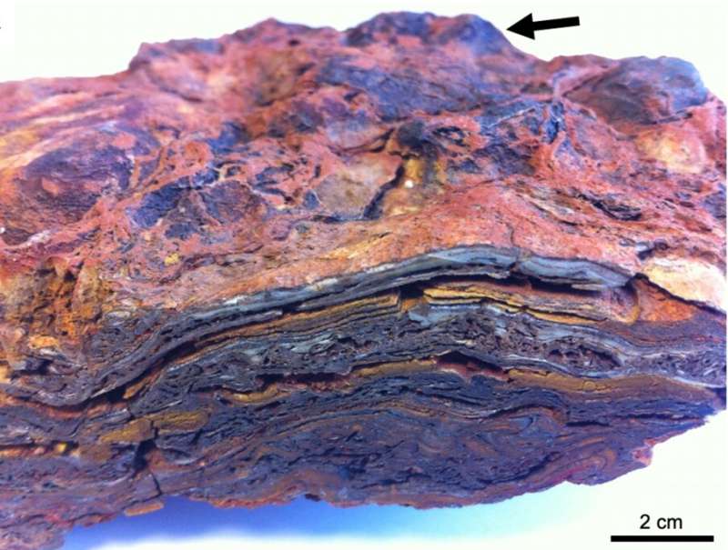 The oldest stromatolites on Earth and the search for life on Mars