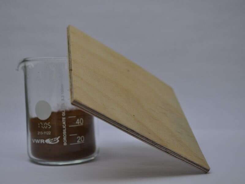 Eco-glue can replace harmful adhesives in wood construction