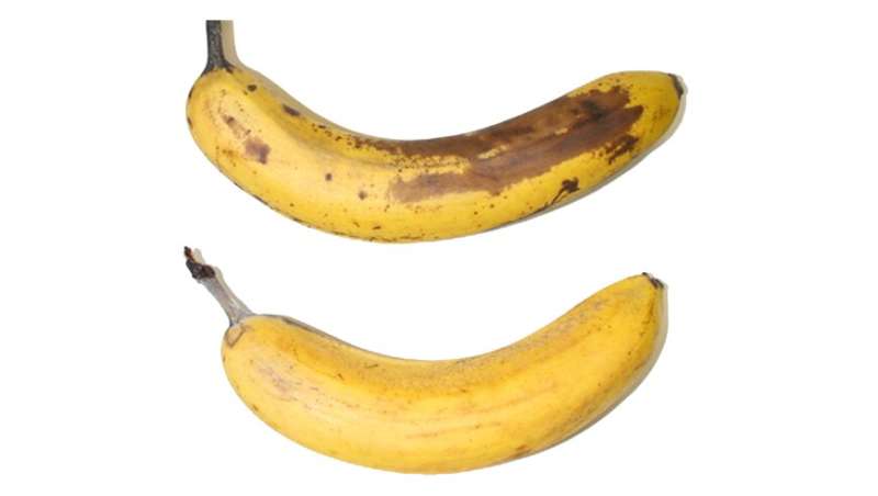Ecological coating for bananas