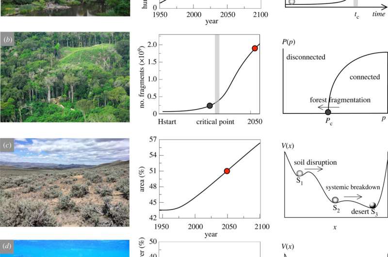 Ecological complexity and the biosphere: The next 30 years