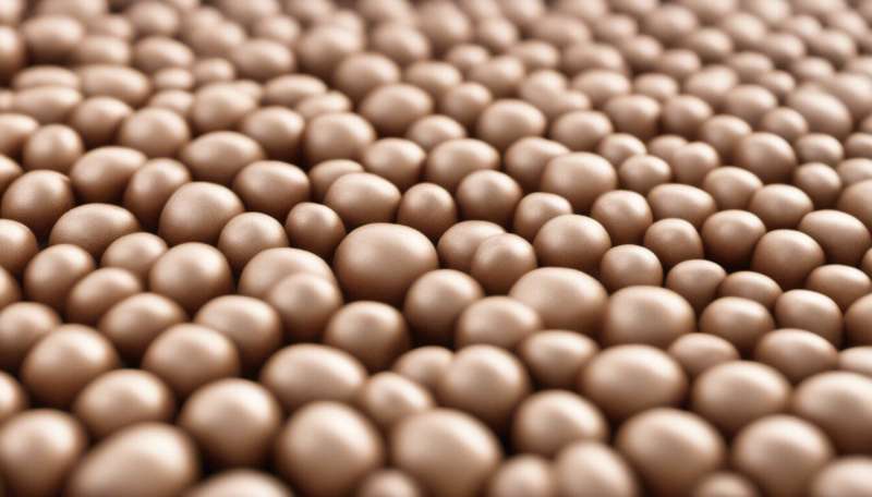 Edible coating made from silk can extend shelf life of foods