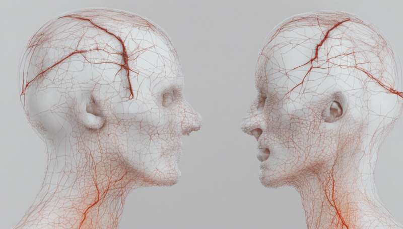 تجزیه و تحلیل EEG ممکن است تا 99.5٪ از ضربه های مغزی را تشخیص دهد